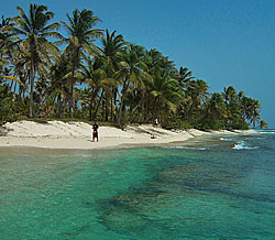 sandy island greanada snorkel trip